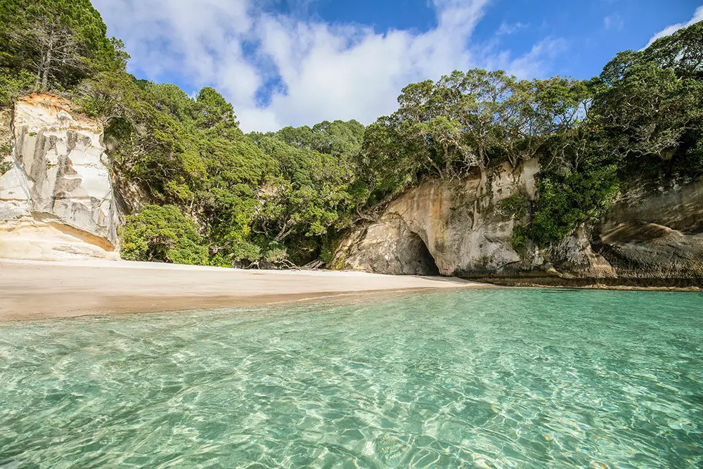 Cathedral Cove Now Open