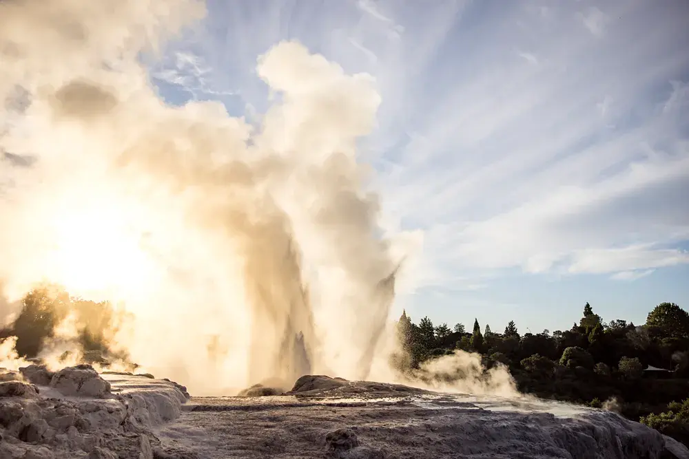 Te Puia, Rotorua